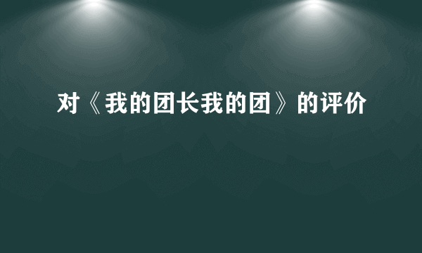 对《我的团长我的团》的评价