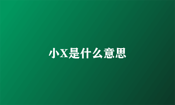小X是什么意思