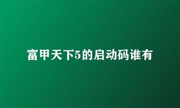 富甲天下5的启动码谁有