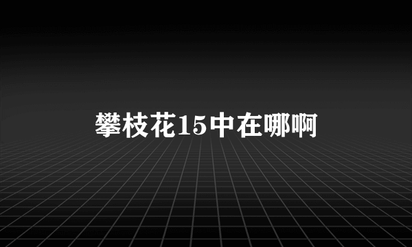 攀枝花15中在哪啊