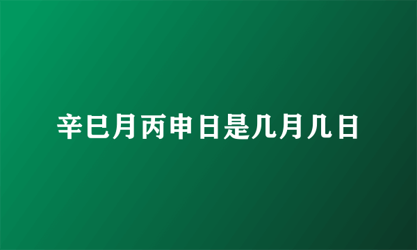 辛巳月丙申日是几月几日