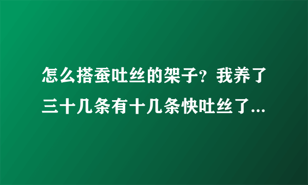 怎么搭蚕吐丝的架子？我养了三十几条有十几条快吐丝了，请各位帮帮忙啊！