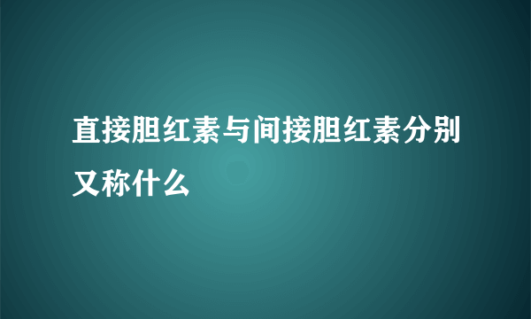 直接胆红素与间接胆红素分别又称什么