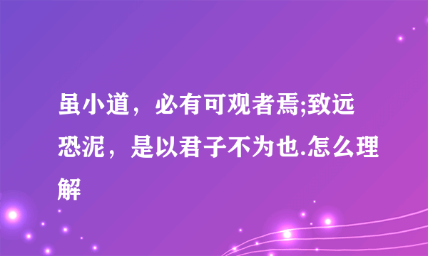 虽小道，必有可观者焉;致远恐泥，是以君子不为也.怎么理解