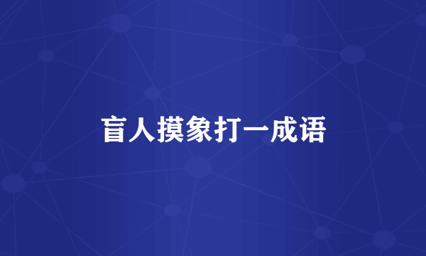 盲人摸象打一成语