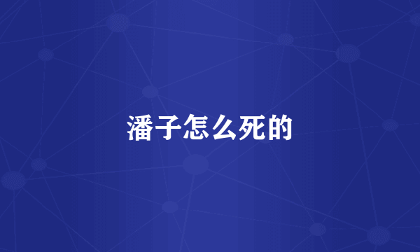 潘子怎么死的