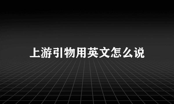 上游引物用英文怎么说