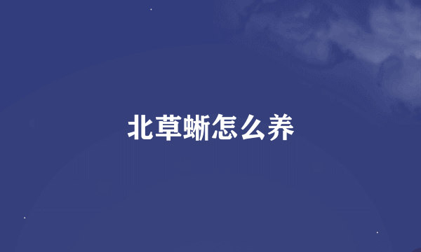 北草蜥怎么养