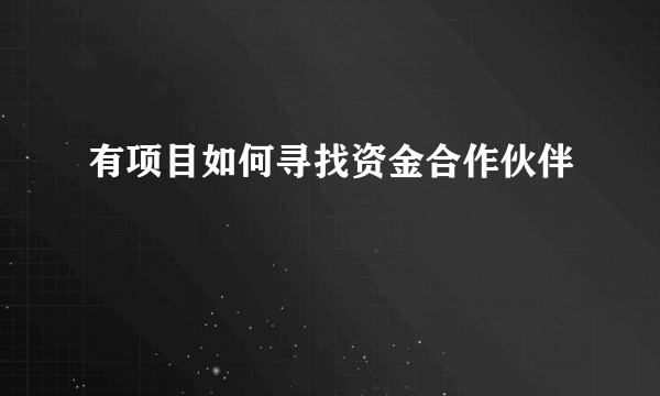 有项目如何寻找资金合作伙伴