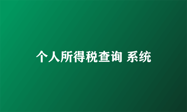 个人所得税查询 系统