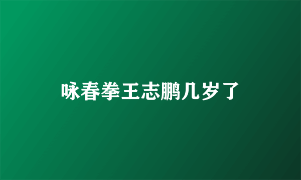咏春拳王志鹏几岁了