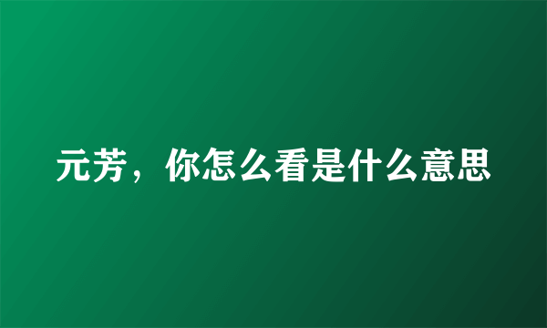 元芳，你怎么看是什么意思