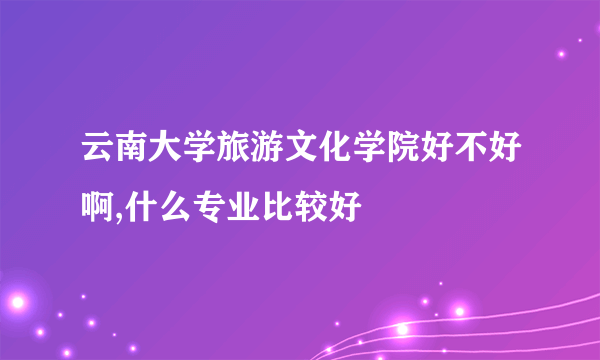 云南大学旅游文化学院好不好啊,什么专业比较好