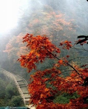 九月旅游好去处