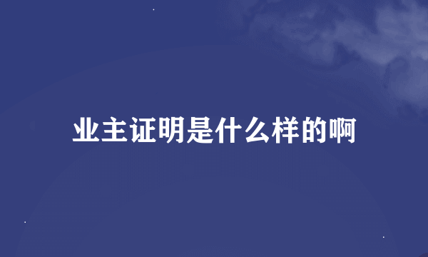 业主证明是什么样的啊