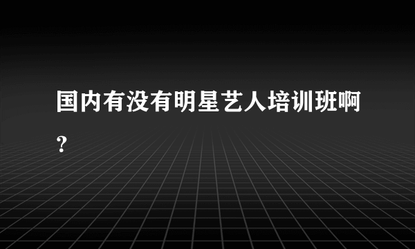 国内有没有明星艺人培训班啊？
