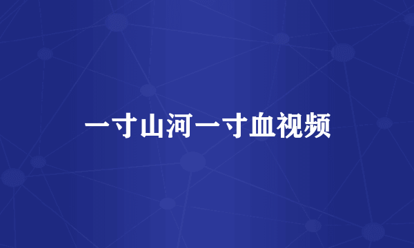 一寸山河一寸血视频
