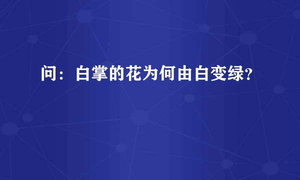 问：白掌的花为何由白变绿？