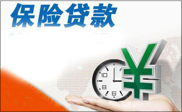 如何使用保单贷款?
