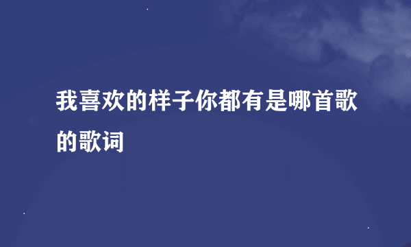 我喜欢的样子你都有是哪首歌的歌词