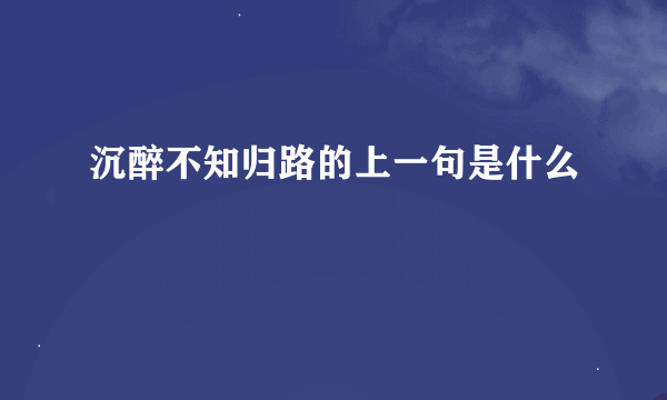 沉醉不知归路的上一句是什么
