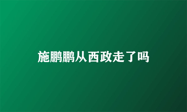 施鹏鹏从西政走了吗