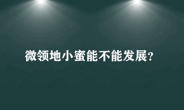 微领地小蜜能不能发展？