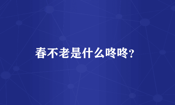 春不老是什么咚咚？