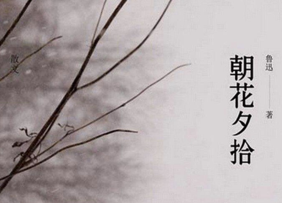朝花夕拾 中鲁迅对长妈妈，寿镜吾，藤野先生分别具有怎样的情感