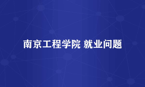 南京工程学院 就业问题