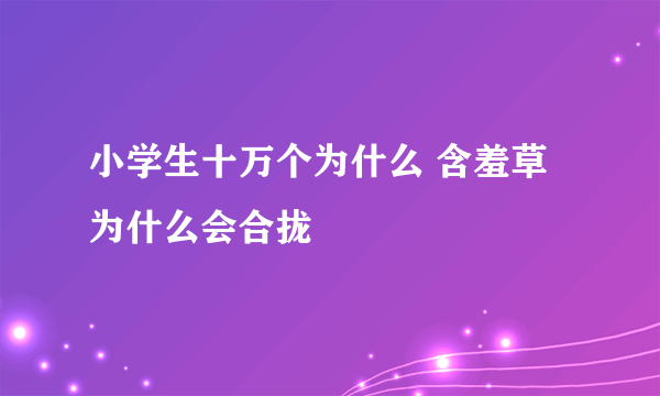 小学生十万个为什么 含羞草为什么会合拢