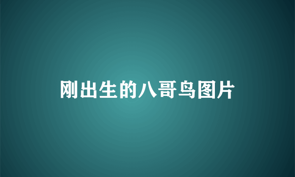 刚出生的八哥鸟图片