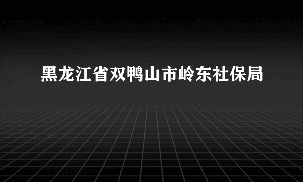黑龙江省双鸭山市岭东社保局