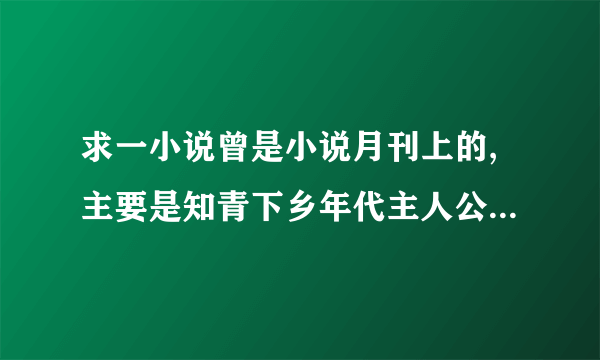 求一小说曾是小说月刊上的,主要是知青下乡年代主人公叫成功，和村支书老婆有情，最后村支书老婆上吊自杀