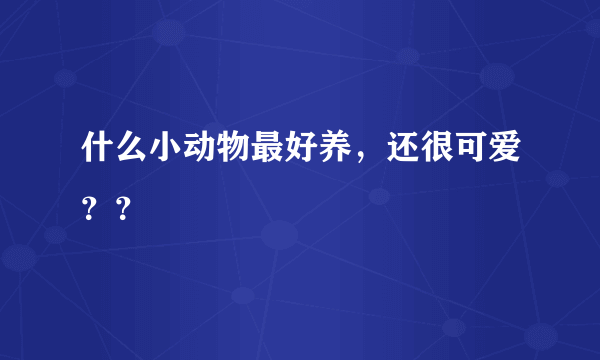 什么小动物最好养，还很可爱？？