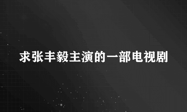 求张丰毅主演的一部电视剧