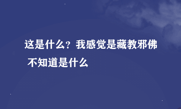 这是什么？我感觉是藏教邪佛 不知道是什么