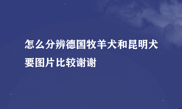 怎么分辨德国牧羊犬和昆明犬要图片比较谢谢