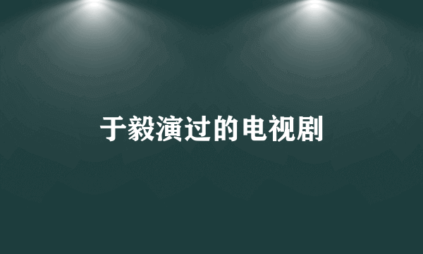 于毅演过的电视剧