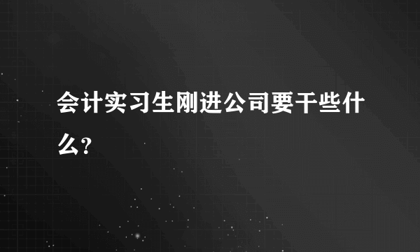 会计实习生刚进公司要干些什么？