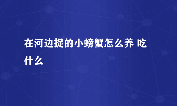 在河边捉的小螃蟹怎么养 吃什么