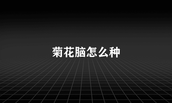 菊花脑怎么种