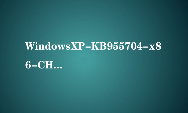 WindowsXP-KB955704-x86-CHS.exe补丁我已经打上去，为什么还是打不开 EXFAT格式的 U盘，