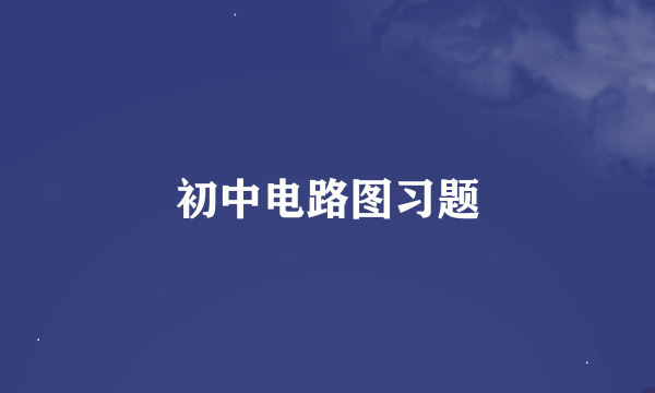 初中电路图习题