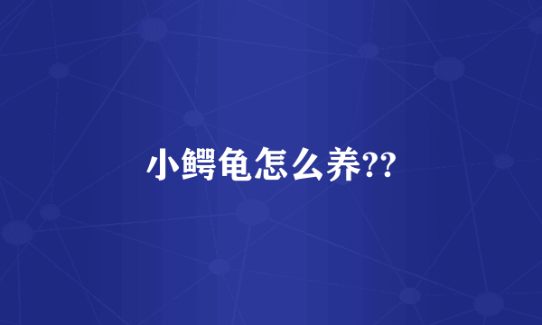 小鳄龟怎么养??