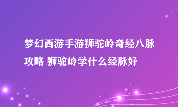 梦幻西游手游狮驼岭奇经八脉攻略 狮驼岭学什么经脉好