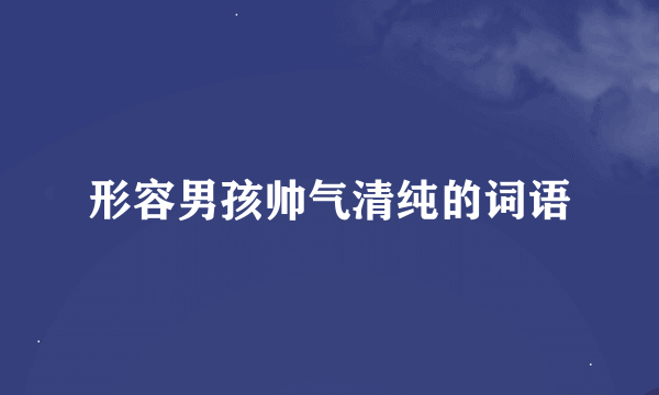形容男孩帅气清纯的词语