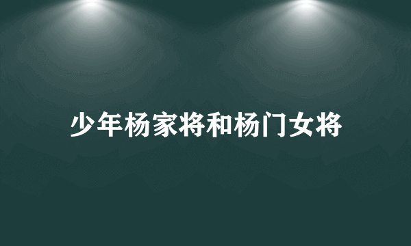 少年杨家将和杨门女将
