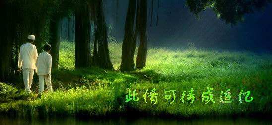 求一句和此情可待成追忆 只是当时已惘然意思一样的诗句