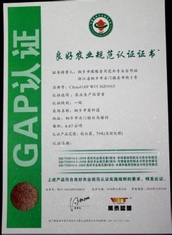 GAP认证的认证意义